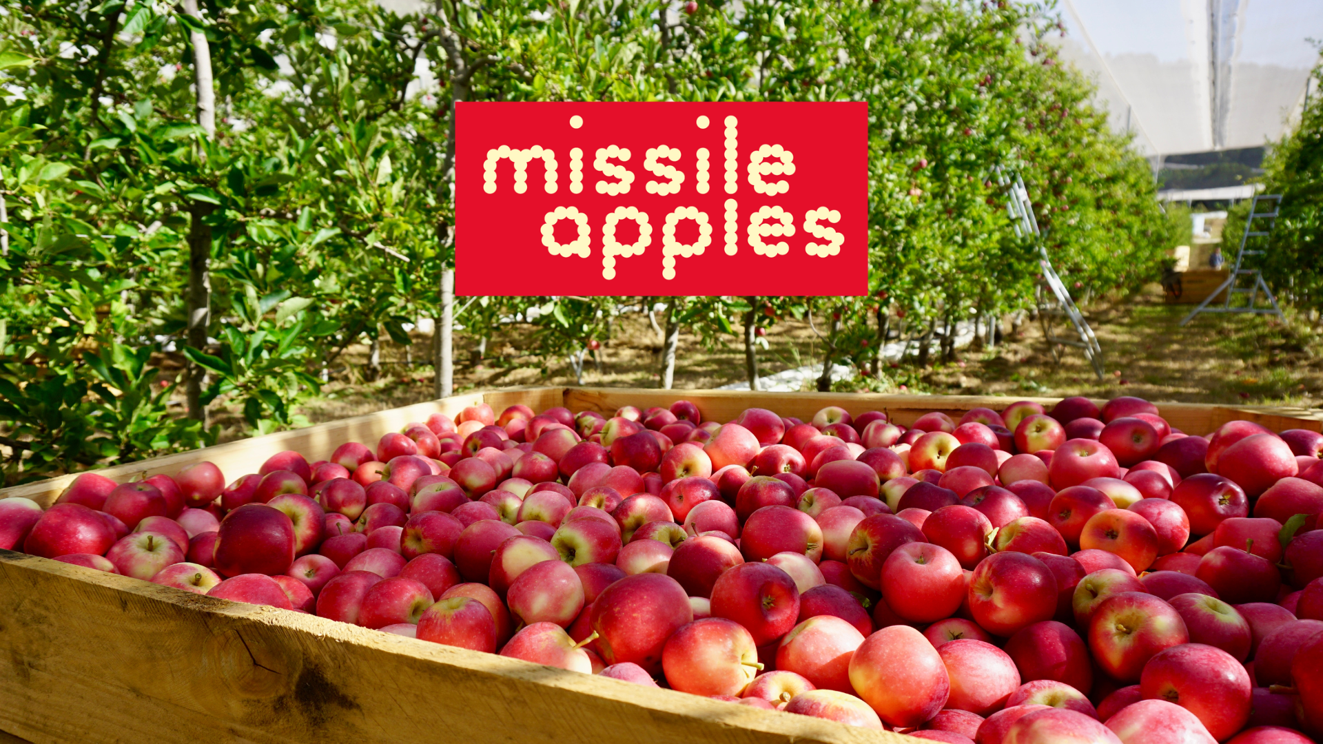 Missile apples Missile apples